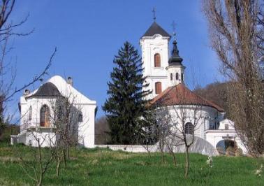 manastir vrdnik